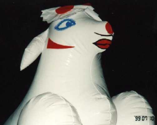 sheep.jpg (11216 bytes)